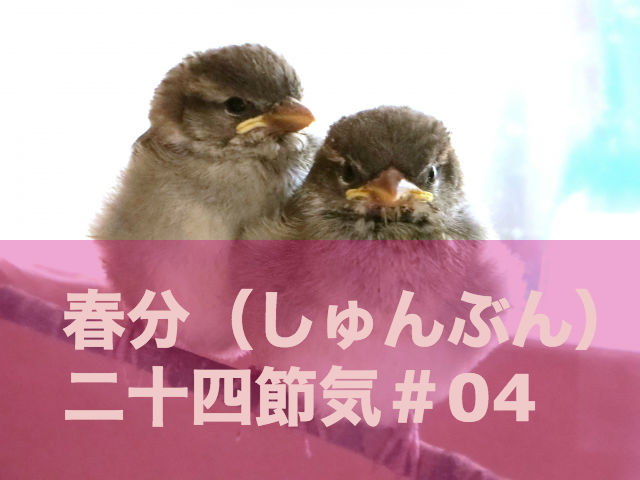 春分　二十四節気