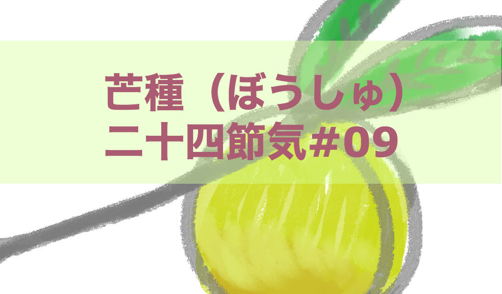 芒種(ぼうしゅ)二十四節気