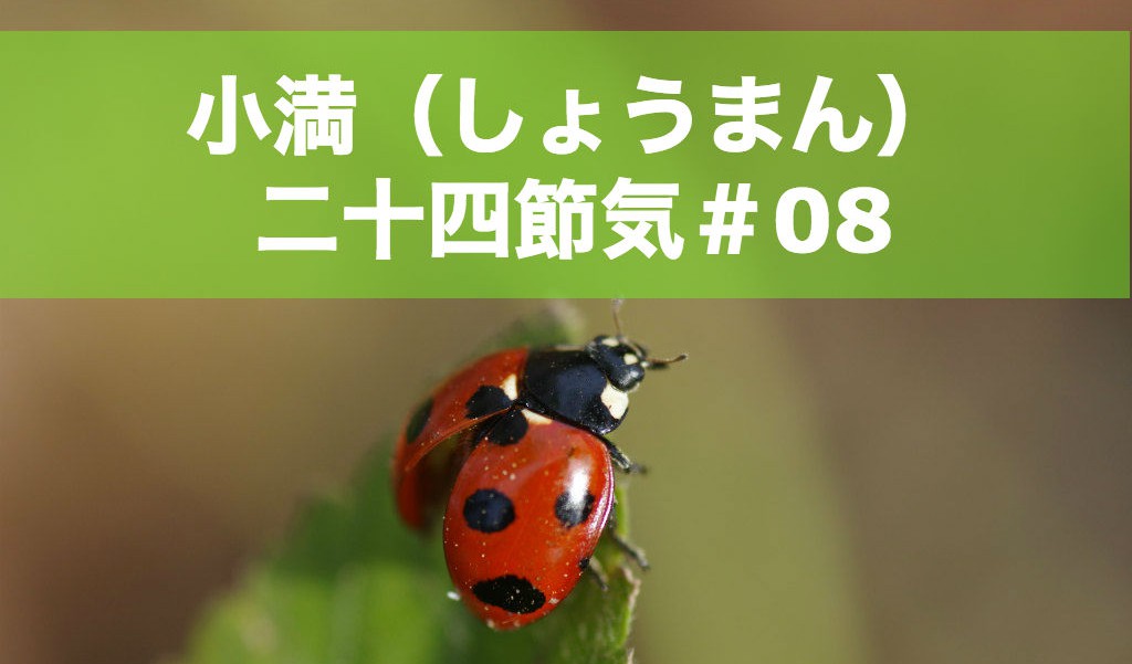 小満（しょうまん）